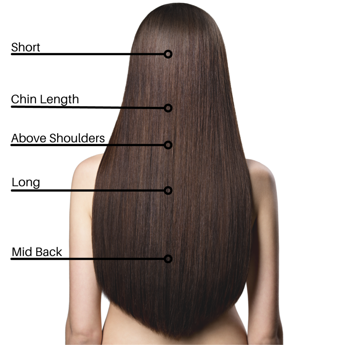 Hair Length Guide (4)